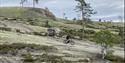 cycling over boulders on Gautefall