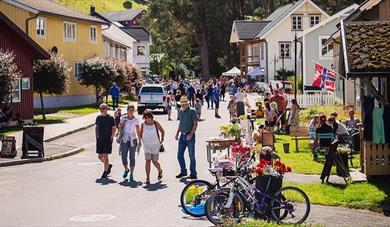 many people in the folk town on a summer day