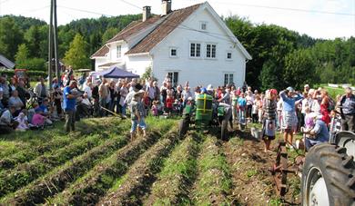 Grasham Rural Museum in Birkenes