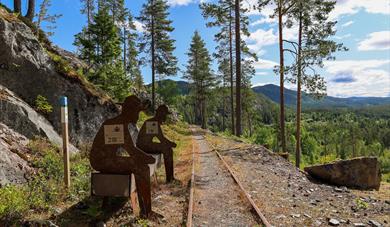 Åmdals Verk Mines