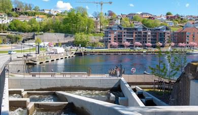 fishing ladder in Skien