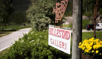 Hillestad Gallery