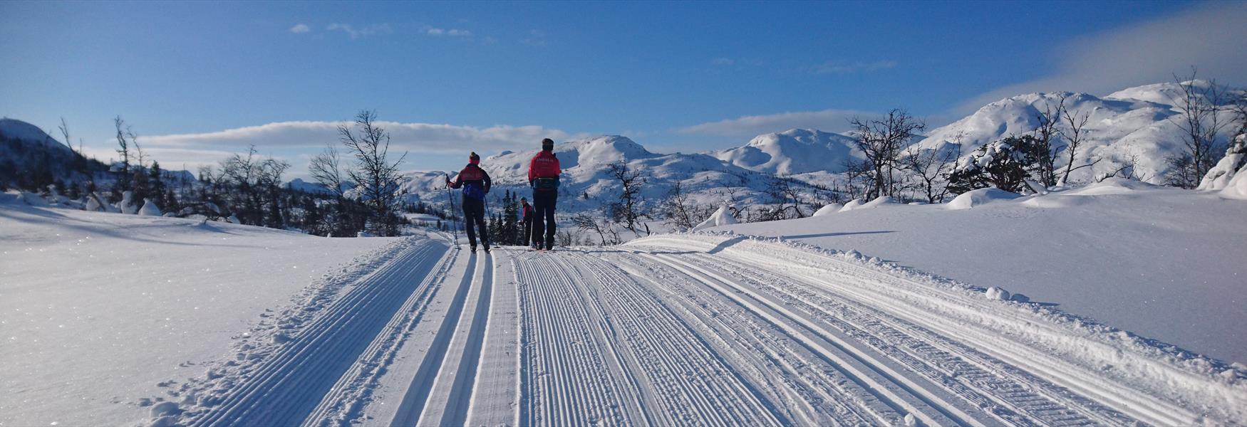 2 people cross-country skiing in Dalen