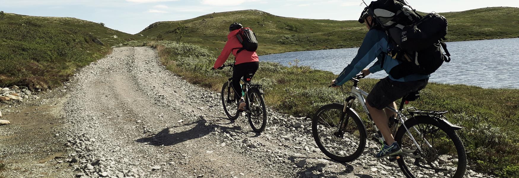cycling on the hardangervidda