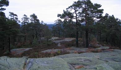 Hørsfjell - Bamble highest mountain