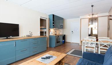 Raulandsfjell - Apartments 5-8 beds