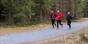 3 men run on the trails in Skien leisure park