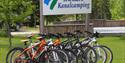 bicycles for rent at First Camp Lunde - Telemark