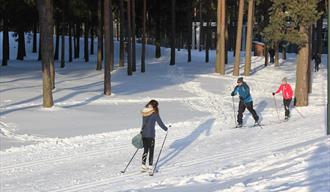 Cross-country trails in Skien leisure park
