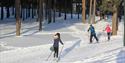 Cross-country trails in Skien leisure park