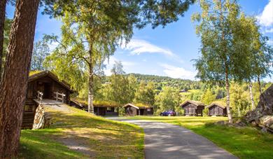 the cabins at Groven Camping