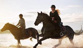 Horse riding and open farm - Jomfruland