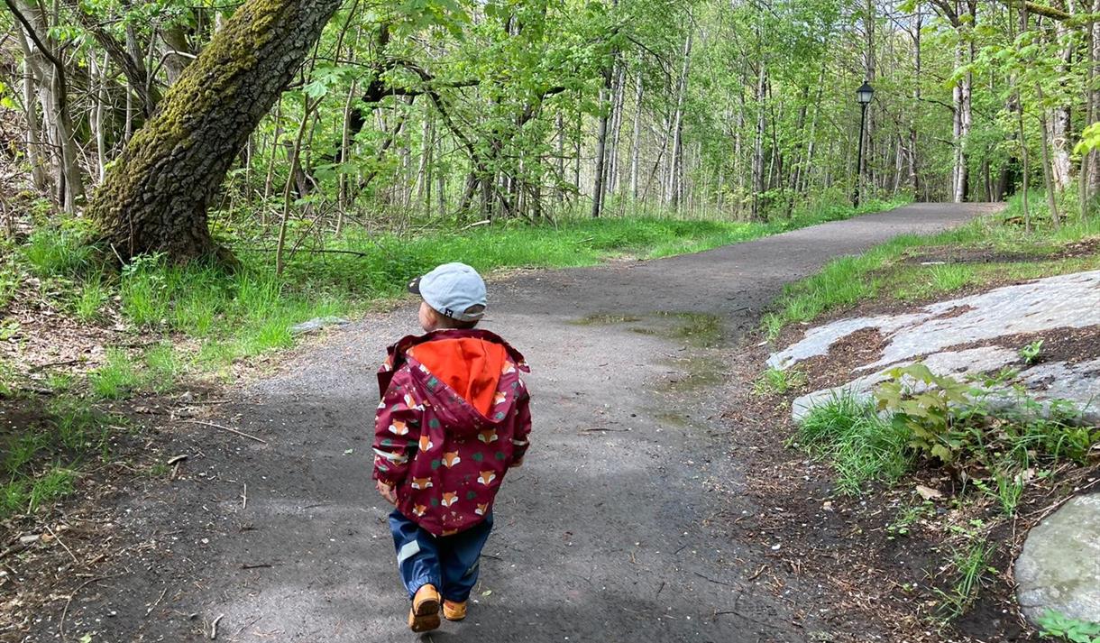 A perfect trail for families with kids