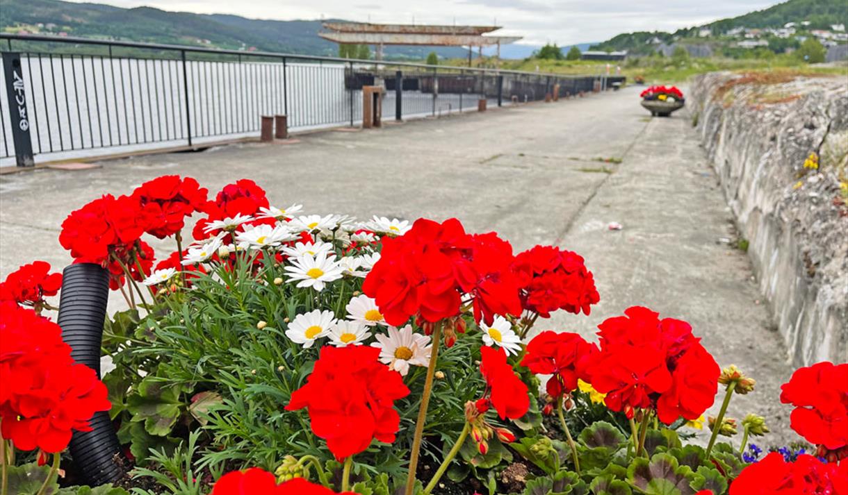 The industrial promenade in Notodden