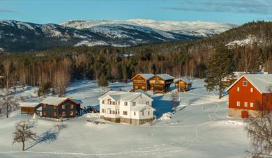 the houses on Bolkesjø farm in winter