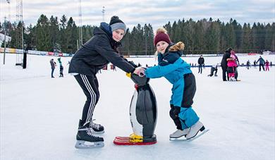 Ice rink at Skien fritidspark