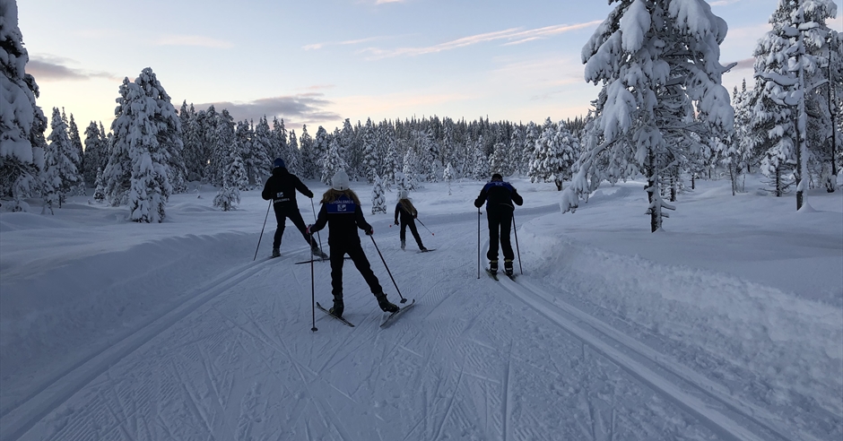 Høydalsmo in winter - Cross Country in Høydalsmo, Tokke - Dalen