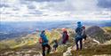 group of hikers with dog on trip to mount Skorve