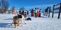 dog sled from Telemark Husky Tour