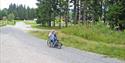 man in a wheelchair drives on the hiking trails in Skien leisure park