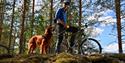 cyclist with dog on the cycle path "old Treungenbanen"
