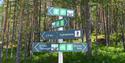 signage along the cycle path "old Treungenbanen"