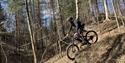 trail biking in the woods